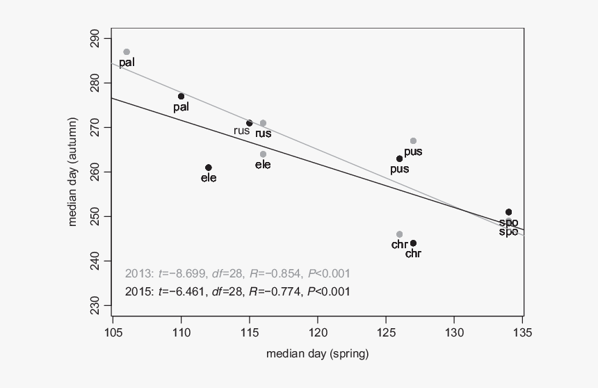 Diagram, HD Png Download