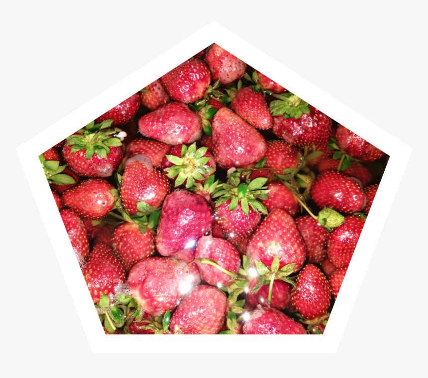 Fresa Sticker - Strawberry - Strawberry, HD Png Download