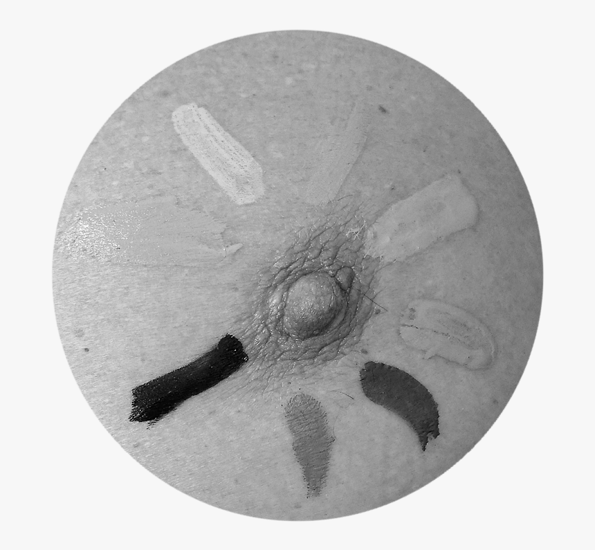 Sketch, HD Png Download