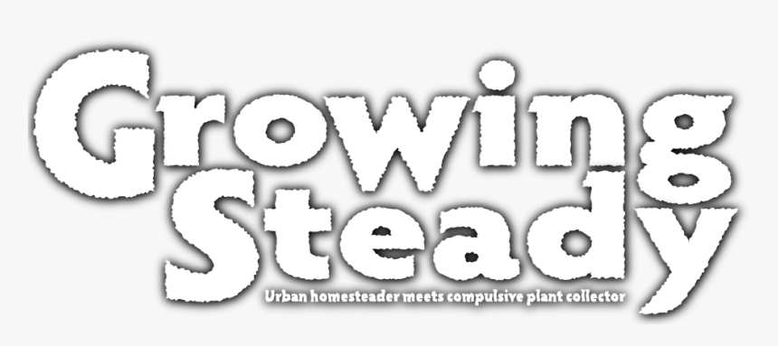 Growing Steady, HD Png Download