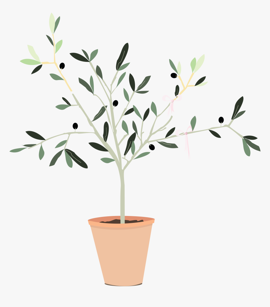 Transparent Olive Branch Png - Flowerpot, Png Download
