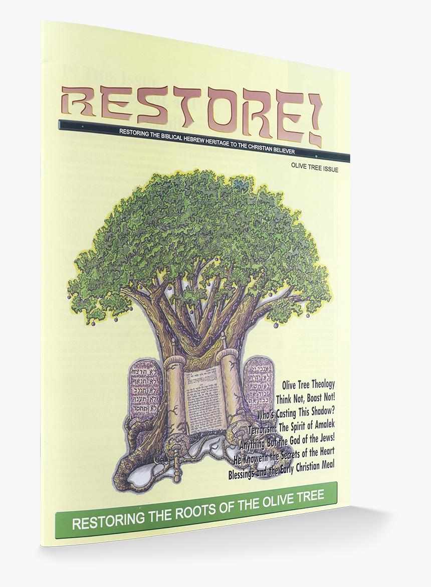 Oak, HD Png Download