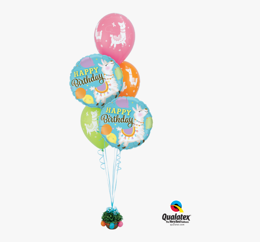 Qualatex Llama Balloons, HD Png Download