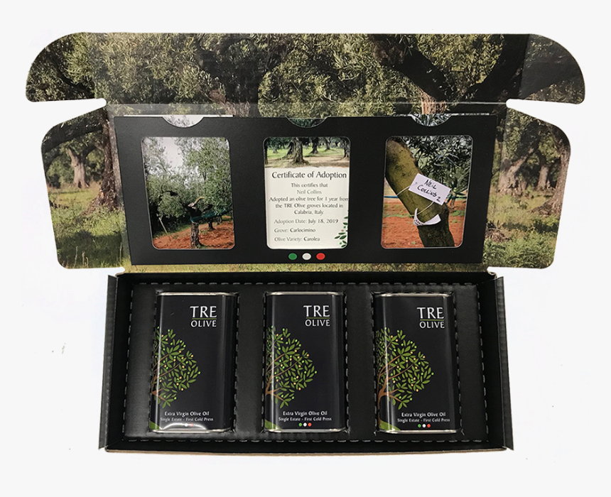 Tree, HD Png Download