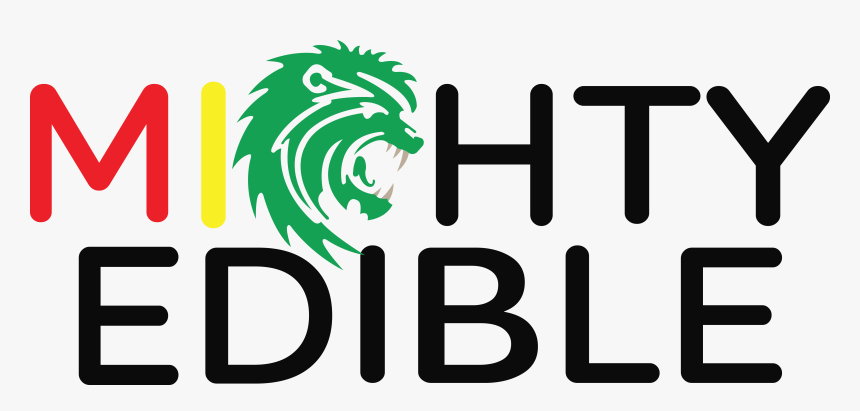 Vector Lion Clipart , Png Download - Vector Lion, Transparent Png