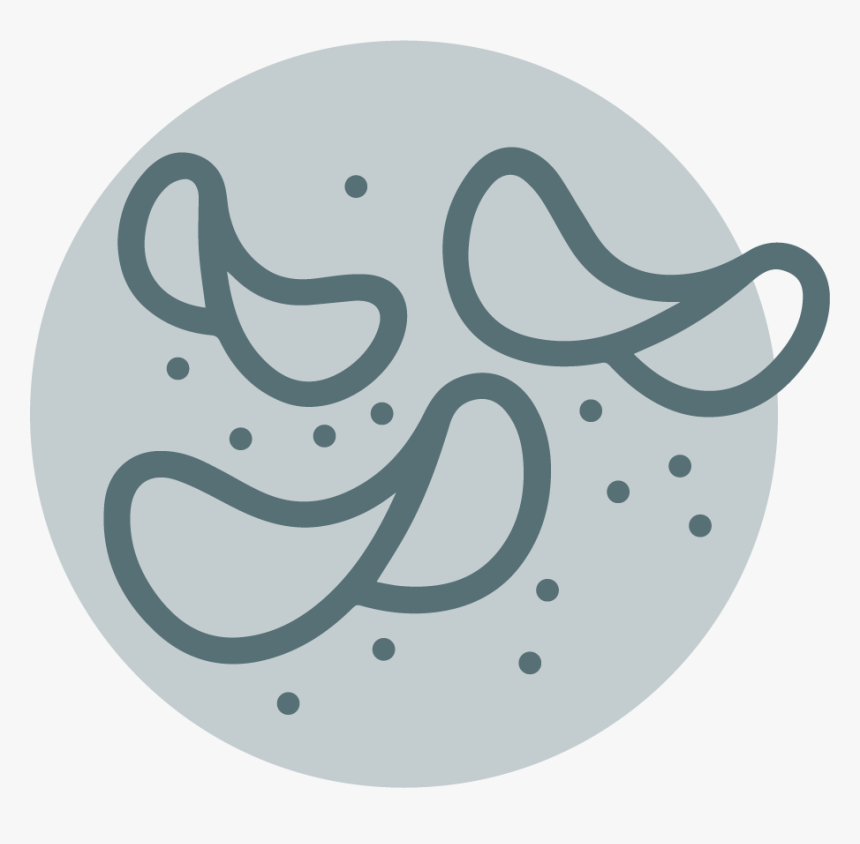 Circle, HD Png Download