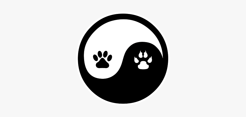 Tiendas De Mascotas, HD Png Download