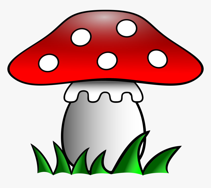 Transparent Fly Clipart Png - Fly Agaric Clipart, Png Download