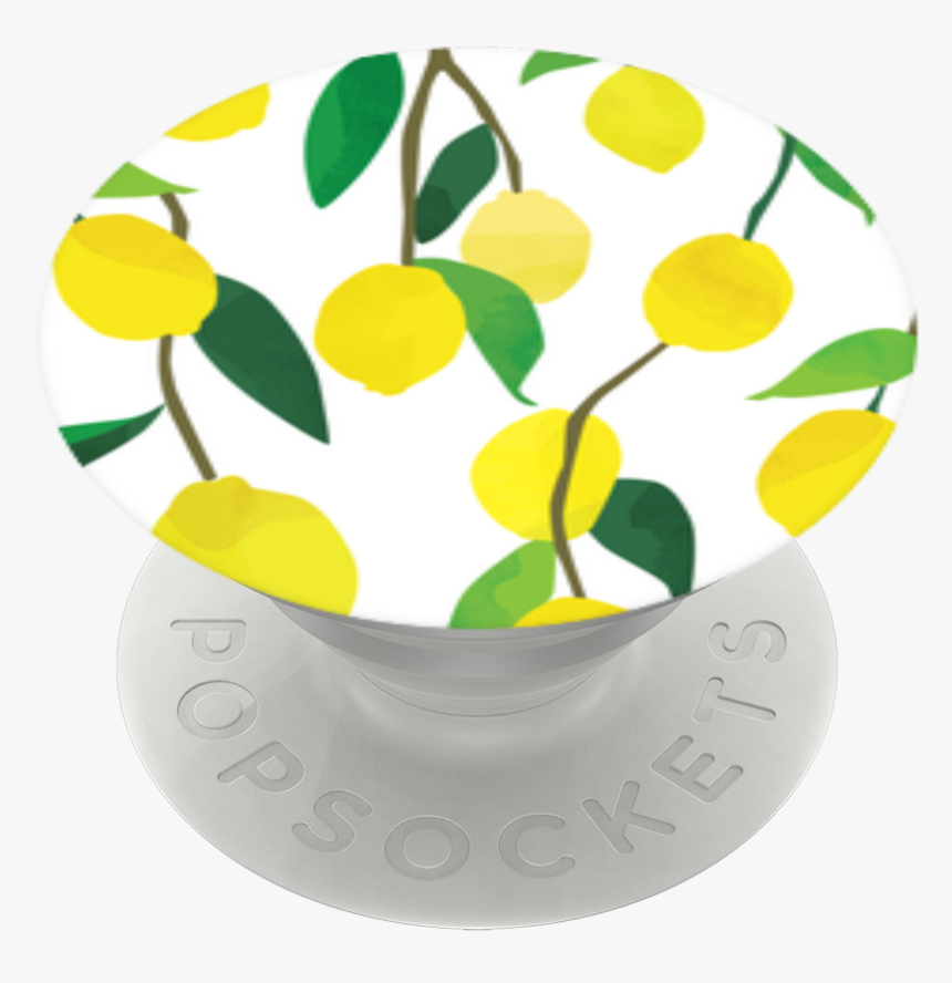Circle, HD Png Download