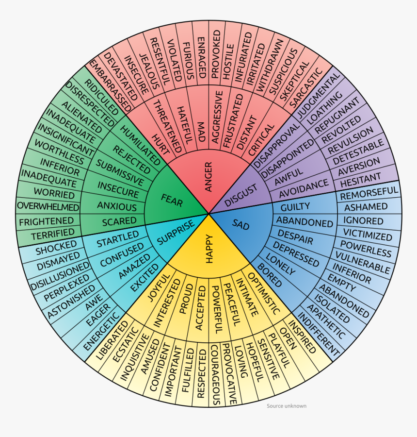 Circle, HD Png Download