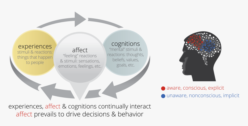 Emotional Dynamic Diagram - Emotional Dynamics, HD Png Download