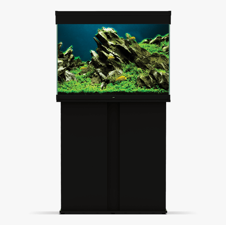 Ciano Aquarium, HD Png Download