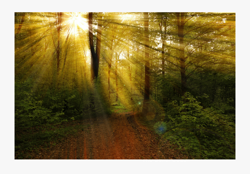 Emotions Are Helpful Messengers, HD Png Download