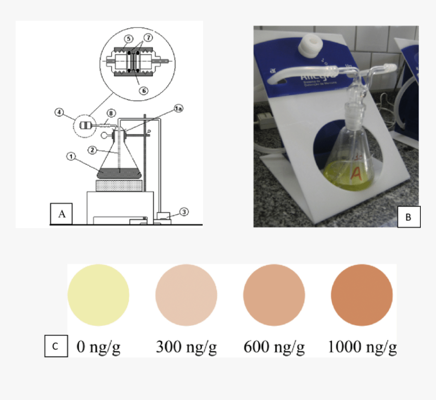 Diagram, HD Png Download