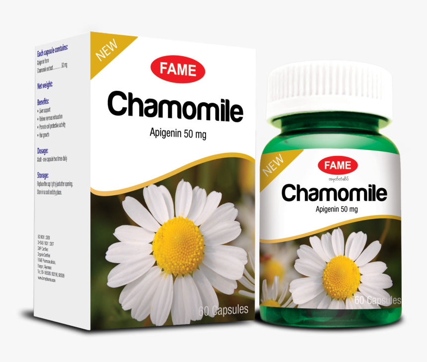 Chamomile Png, Transparent Png