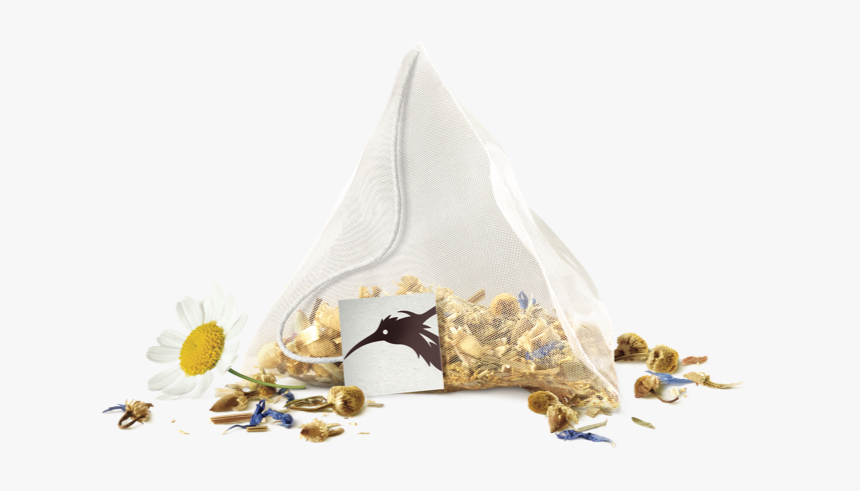 Camomile, HD Png Download