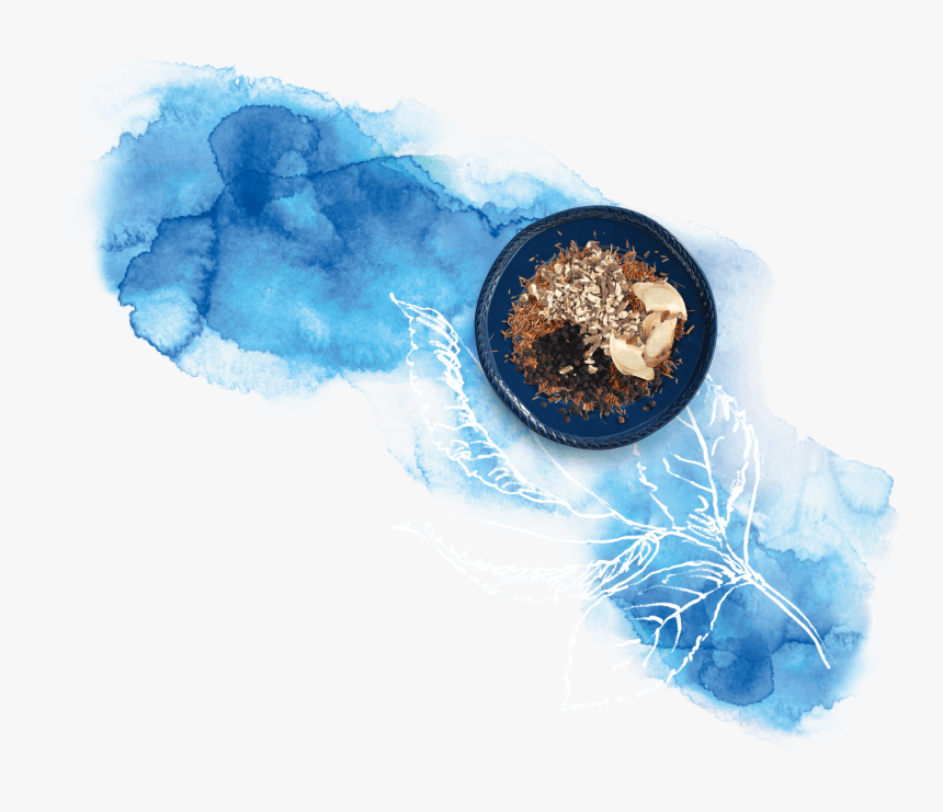 Globe, HD Png Download