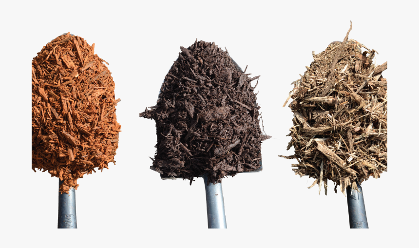 Transparent Pile Of Dirt Png - Tree, Png Download