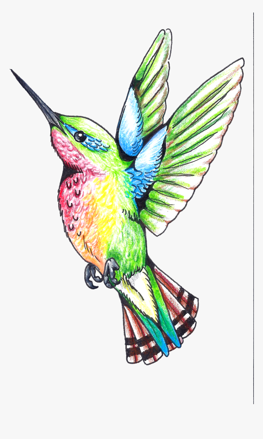 Hummingbird Tattoos Png Clipart - Humming Bird Clip Art, Transparent Png