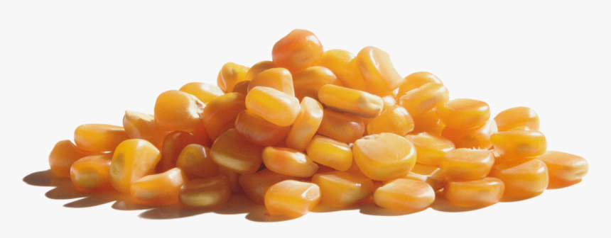 Wabash Valley Farms Popcorn - Corn Kernels, HD Png Download