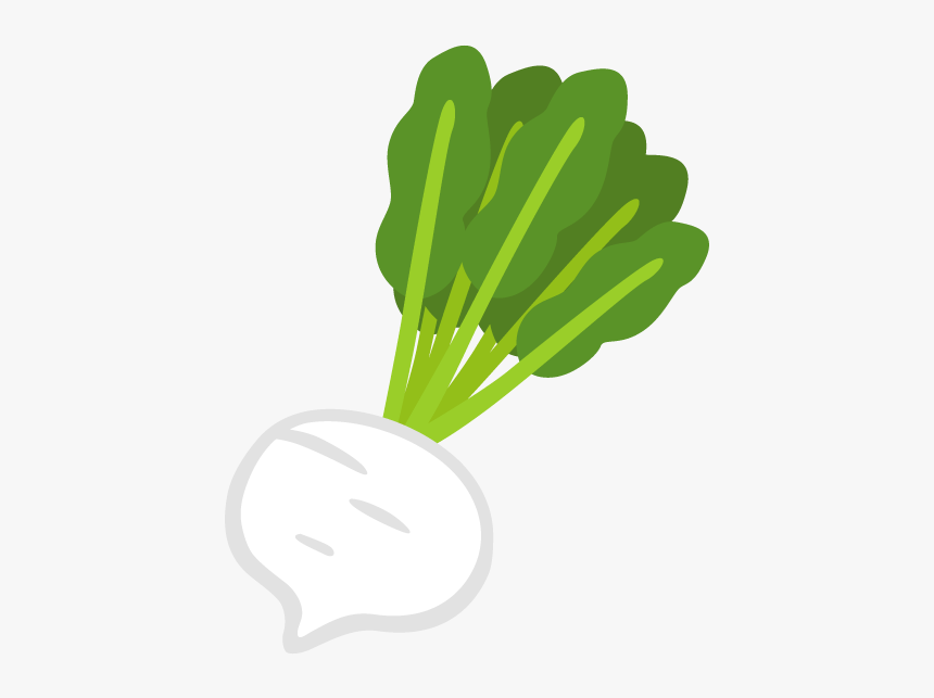 Radish Vector Turnip, HD Png Download