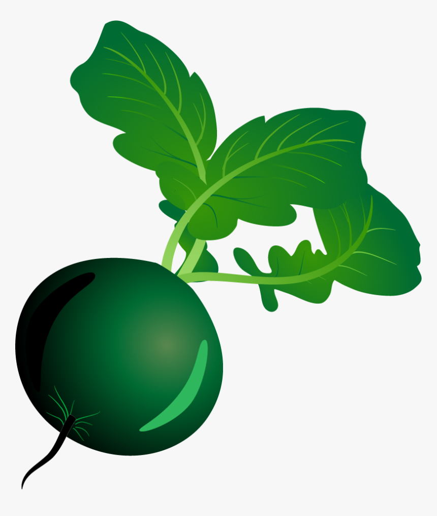 Vegetable, HD Png Download