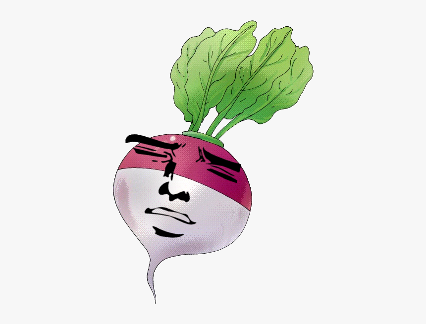 Clipart Picture Of Turnip, HD Png Download