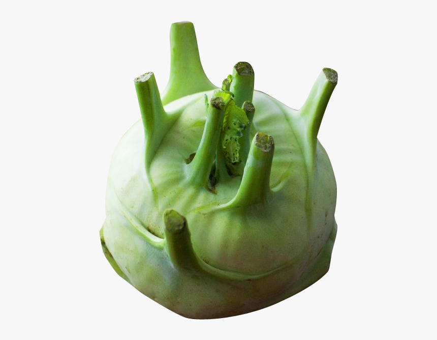 Kohlrabi Png Image - Kohlrabi, Transparent Png