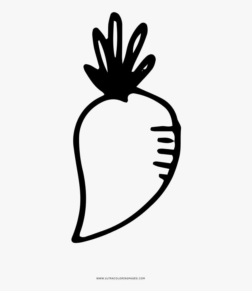Turnip Coloring Page, HD Png Download