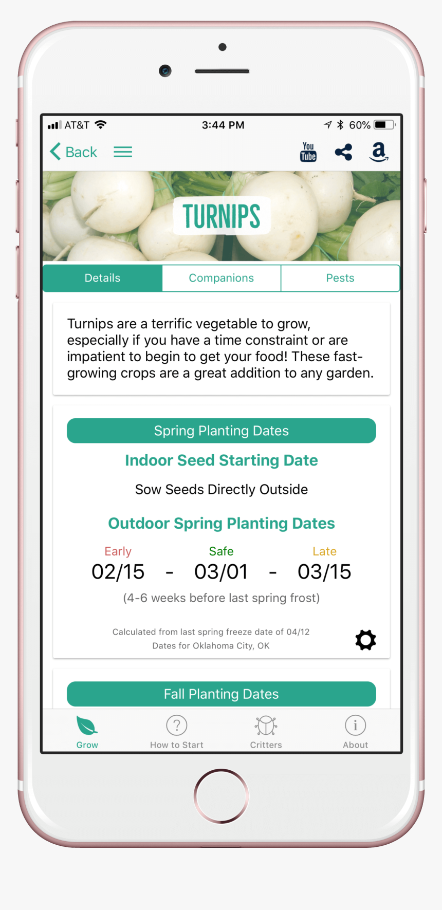 Turnips - Wa ++ Setting, HD Png Download