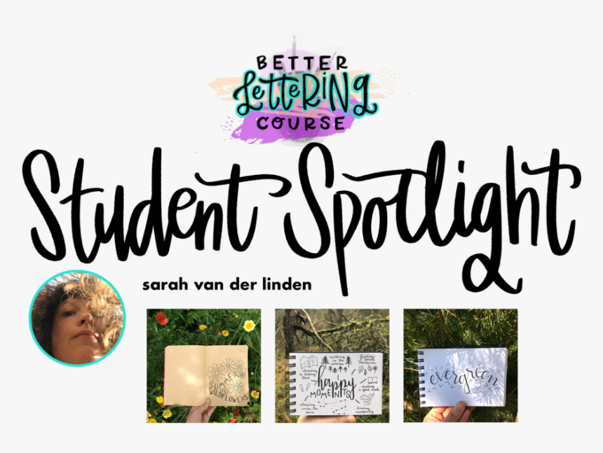 Svdl Student Spotlight Header - Calligraphy, HD Png Download