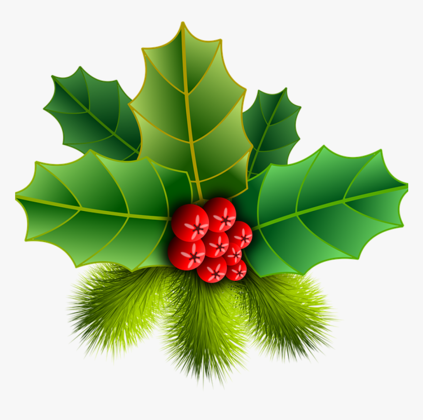 Christmas Holly Picture Christmas Holly Pinheiro Free - ต้น ฮ อ ล ลี่ วัน คริสต์มาส, HD Png Download