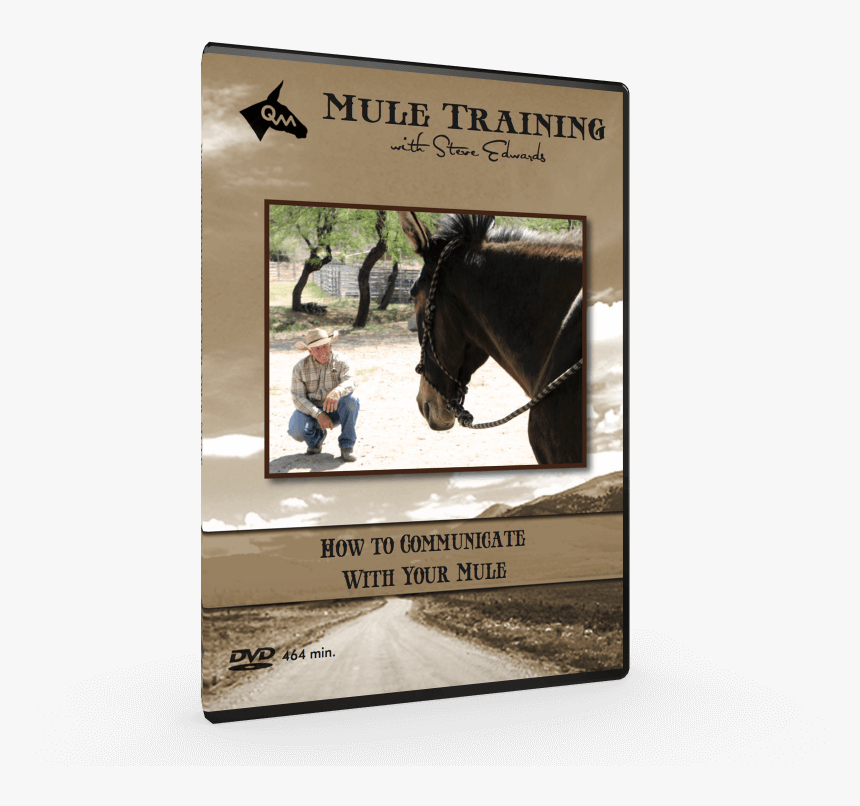 How To Communicate, Mule Training Techniques Video - Stallion, HD Png Download