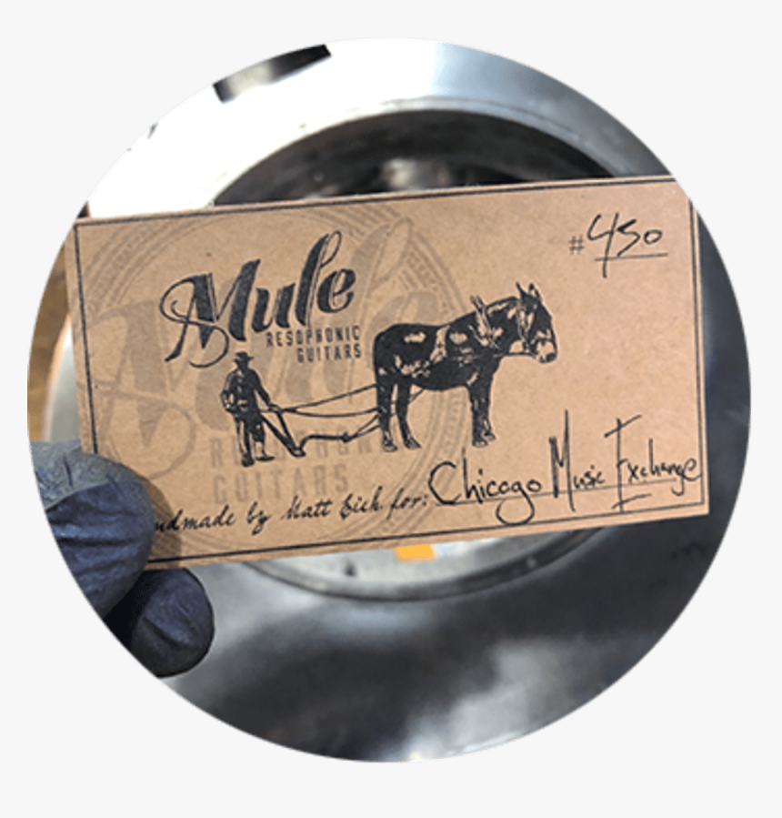 Stallion, HD Png Download