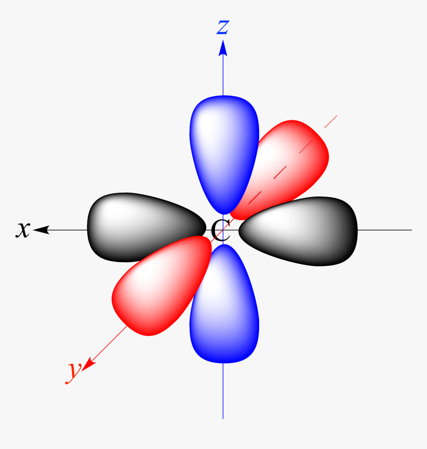 Clip Art Illustrated Glossary Of Organic - Atomic Orbital, HD Png Download