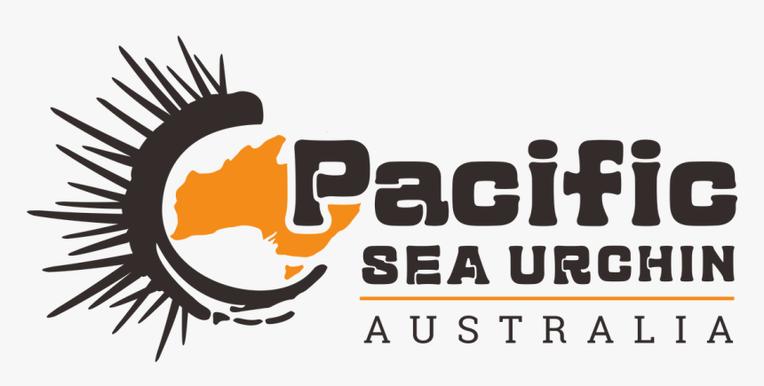 Picture - Illustration, HD Png Download