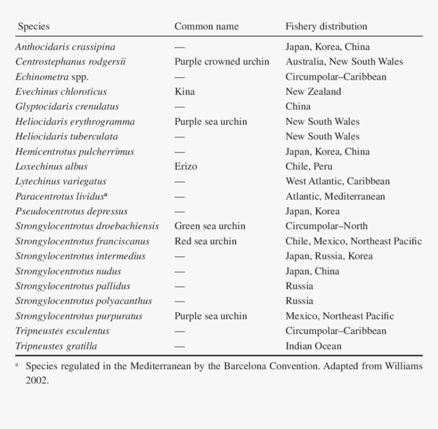 Document, HD Png Download