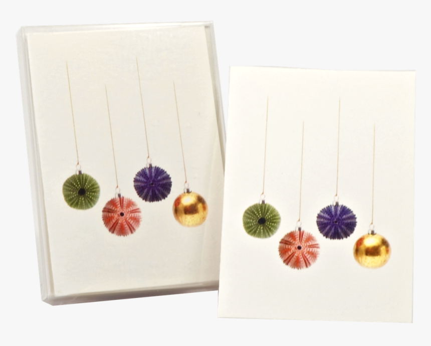 Common Zinnia, HD Png Download