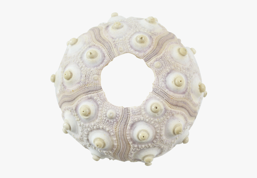 Sputnik Sea Urchin 2-2 - Crochet, HD Png Download