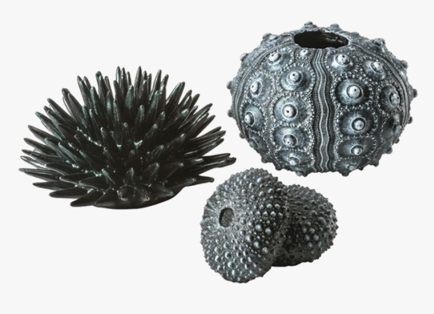 Biorb Zee Egels, HD Png Download