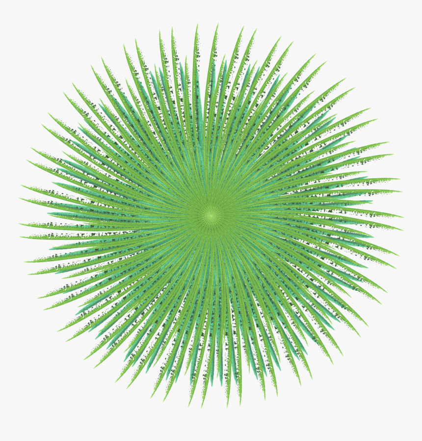 Transparent Sea Urchin Clipart - Artificial Turf, HD Png Download