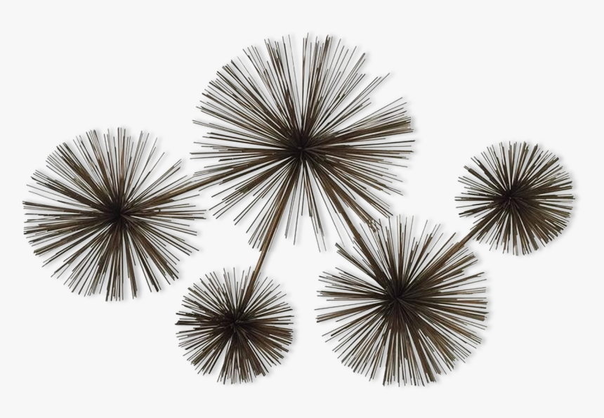 Sculpture Murale Laiton Curtis Jere Pom Pom / Sea Urchin - Fireworks, HD Png Download