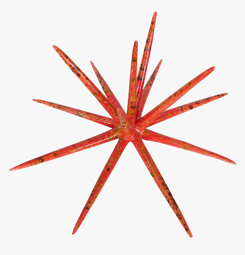 Orange, HD Png Download