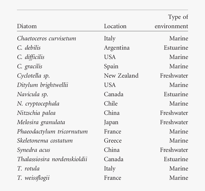 Screenshot, HD Png Download