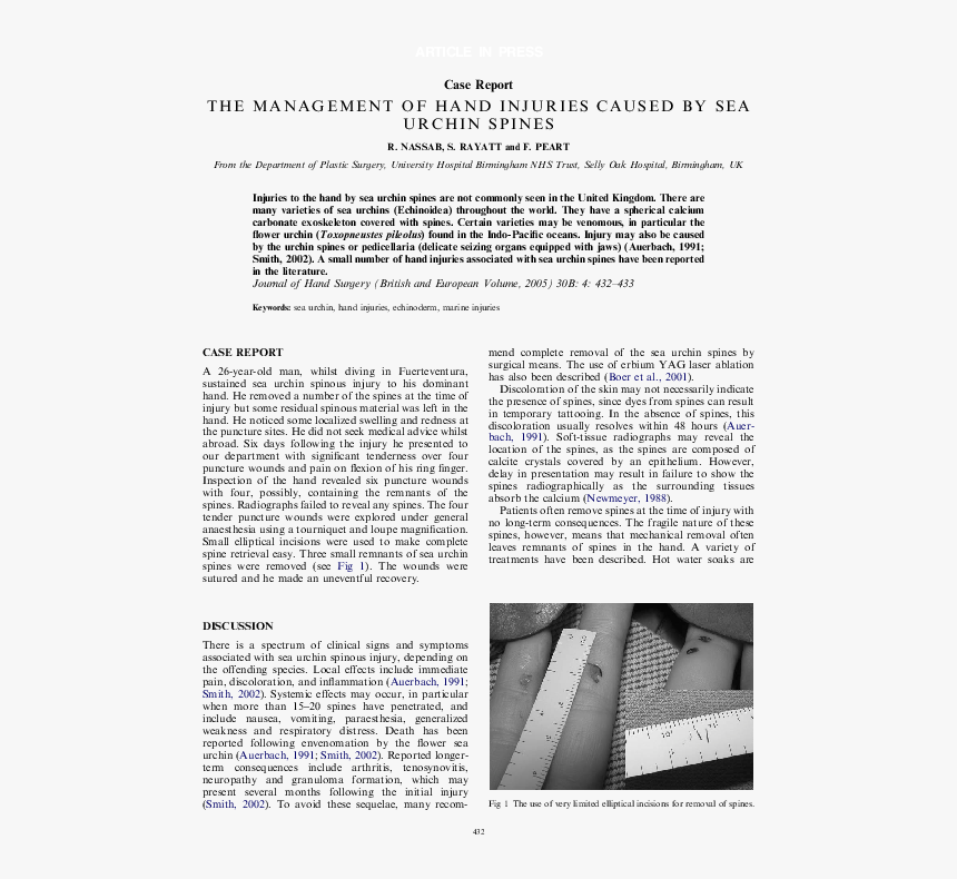 (page 12), HD Png Download