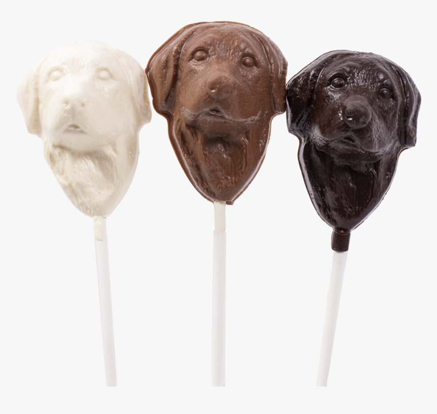 Labrador Retriever, HD Png Download