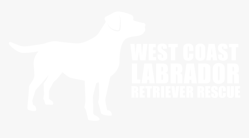 Guard Dog, HD Png Download