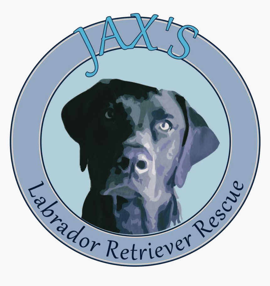 Jax's Labrador Retriever Rescue, HD Png Download