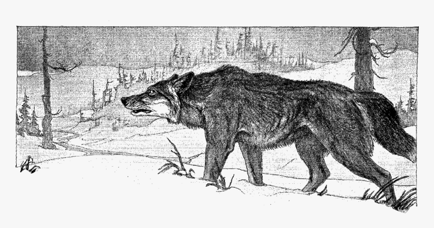 Wolf Winter Hunting Illustration - Wolf Hunting Clip Art, HD Png Download