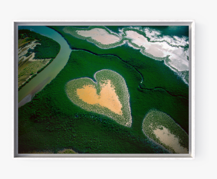 Coeur De Voh, France - Yann Arthus Bertrand, HD Png Download
